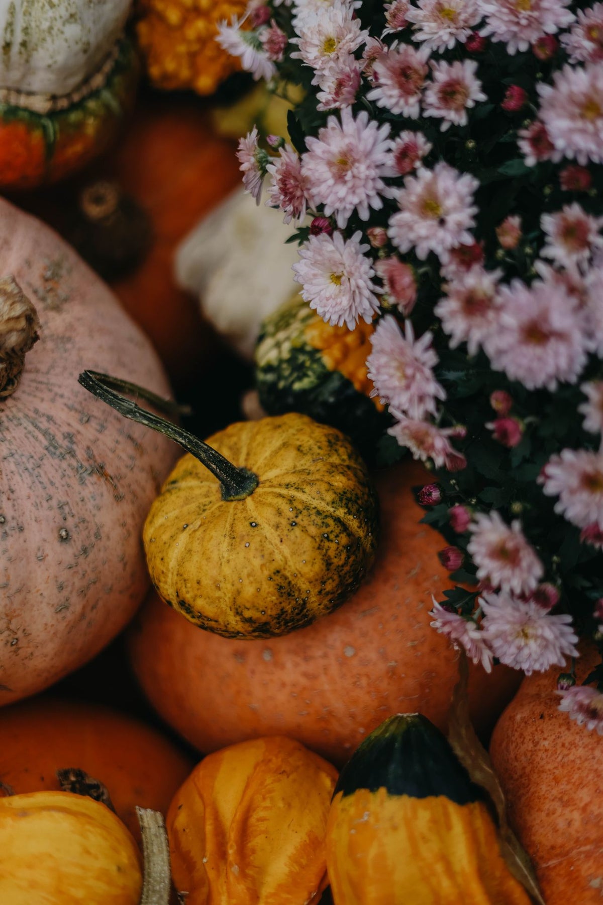 Pumpkin Atelier - Herfst in het Groen