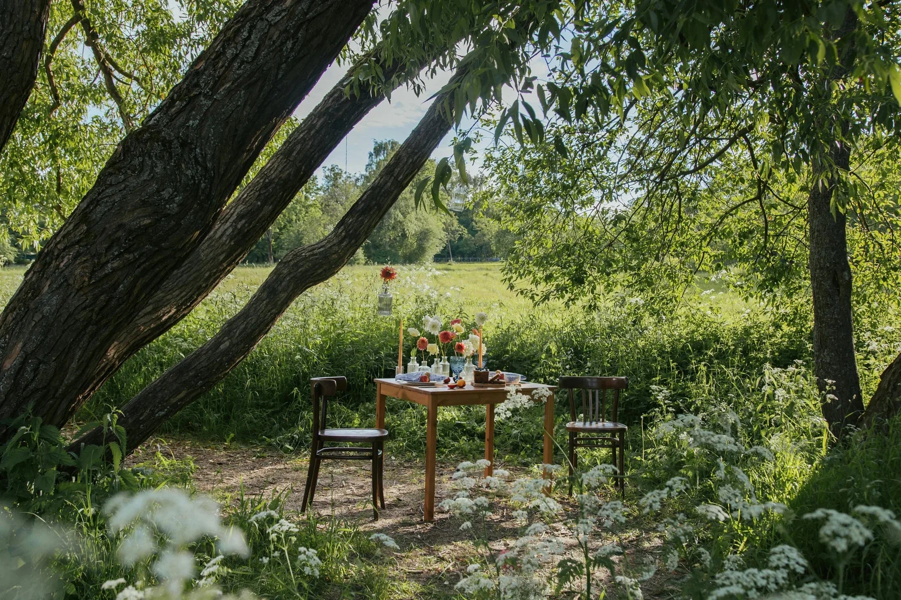Gedekte tafel onder de oude boom in de bloemenweide
